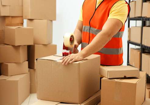 best shipping company in delhi